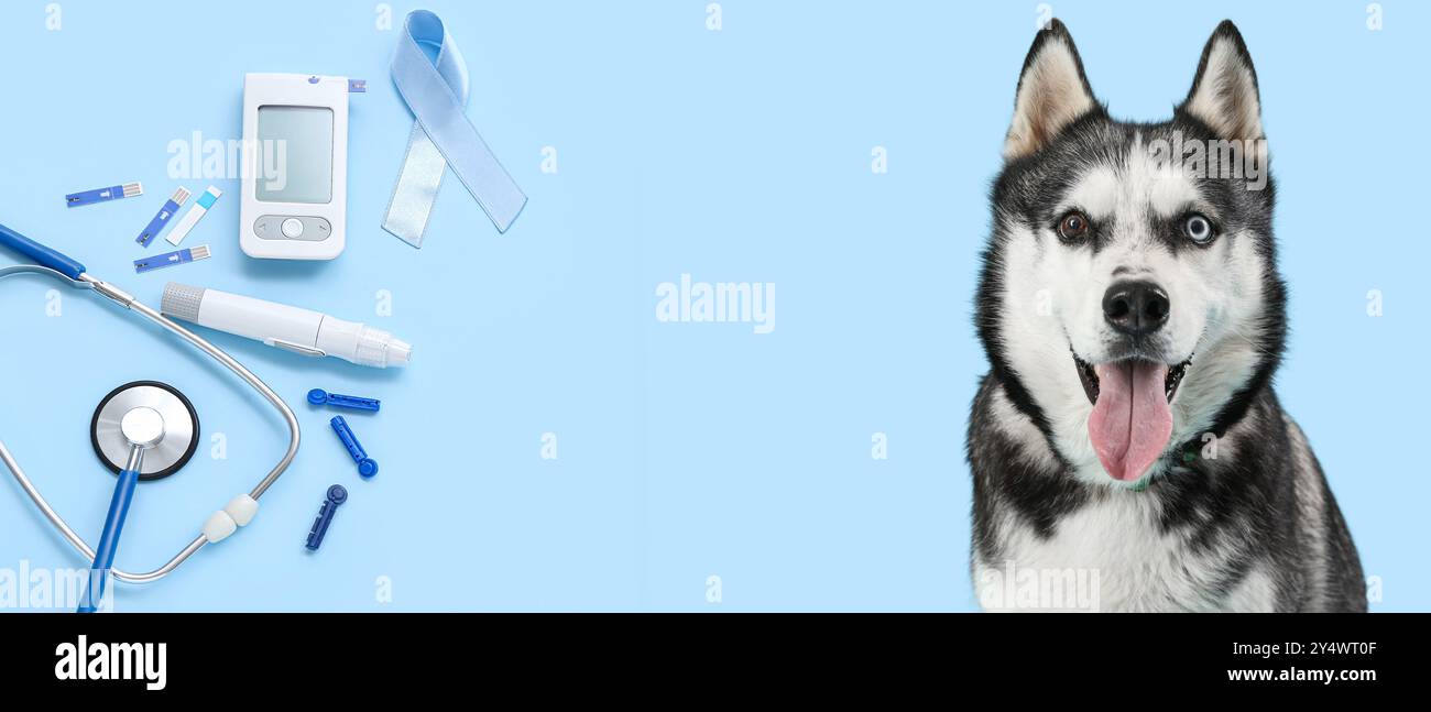 Husky-Hund, Stethoskop, Glucometer, Lanzettenstift und Bewusstseinsband auf hellblauem Hintergrund mit Platz für Text. Diabeteskonzept Stockfoto