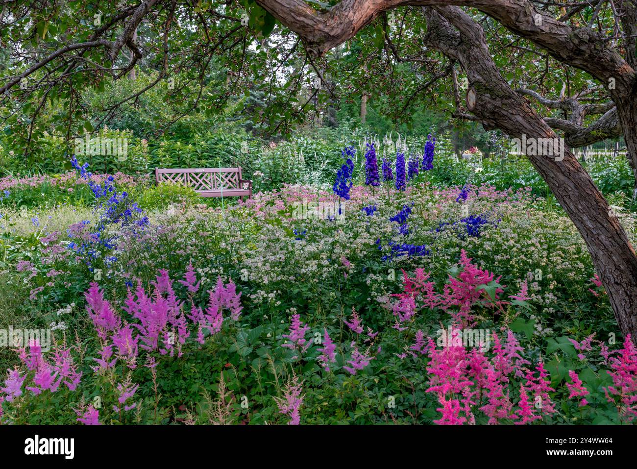 Blumenausstellung in den English Gardens, Assiniboine Park, Winnipeg, Manitoba, Kanada. Stockfoto