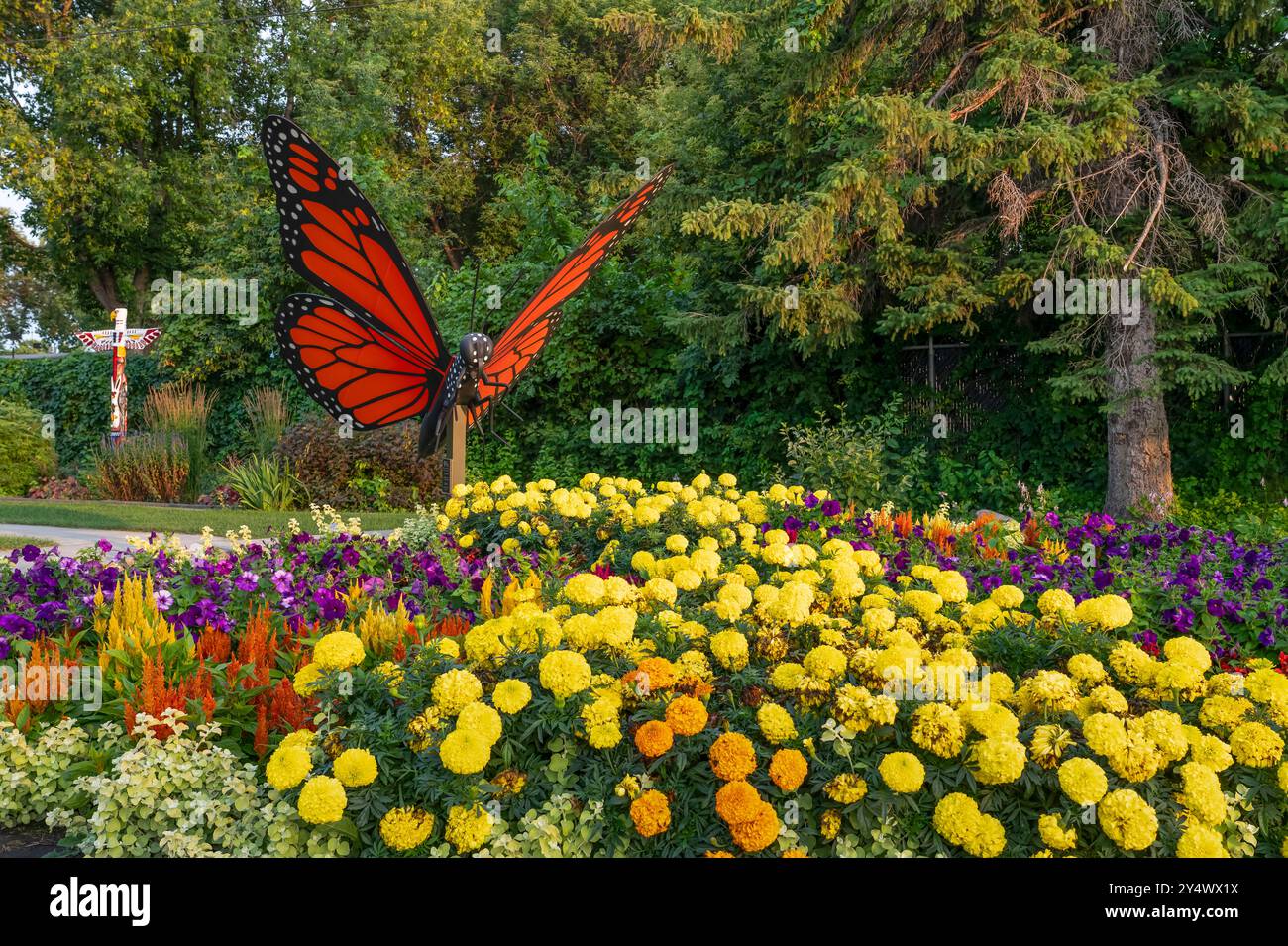 Eine Monarch-Schmetterlingsskulptur in den Butterfly Gardens in Winkler, Manitoba, Kanada. Stockfoto