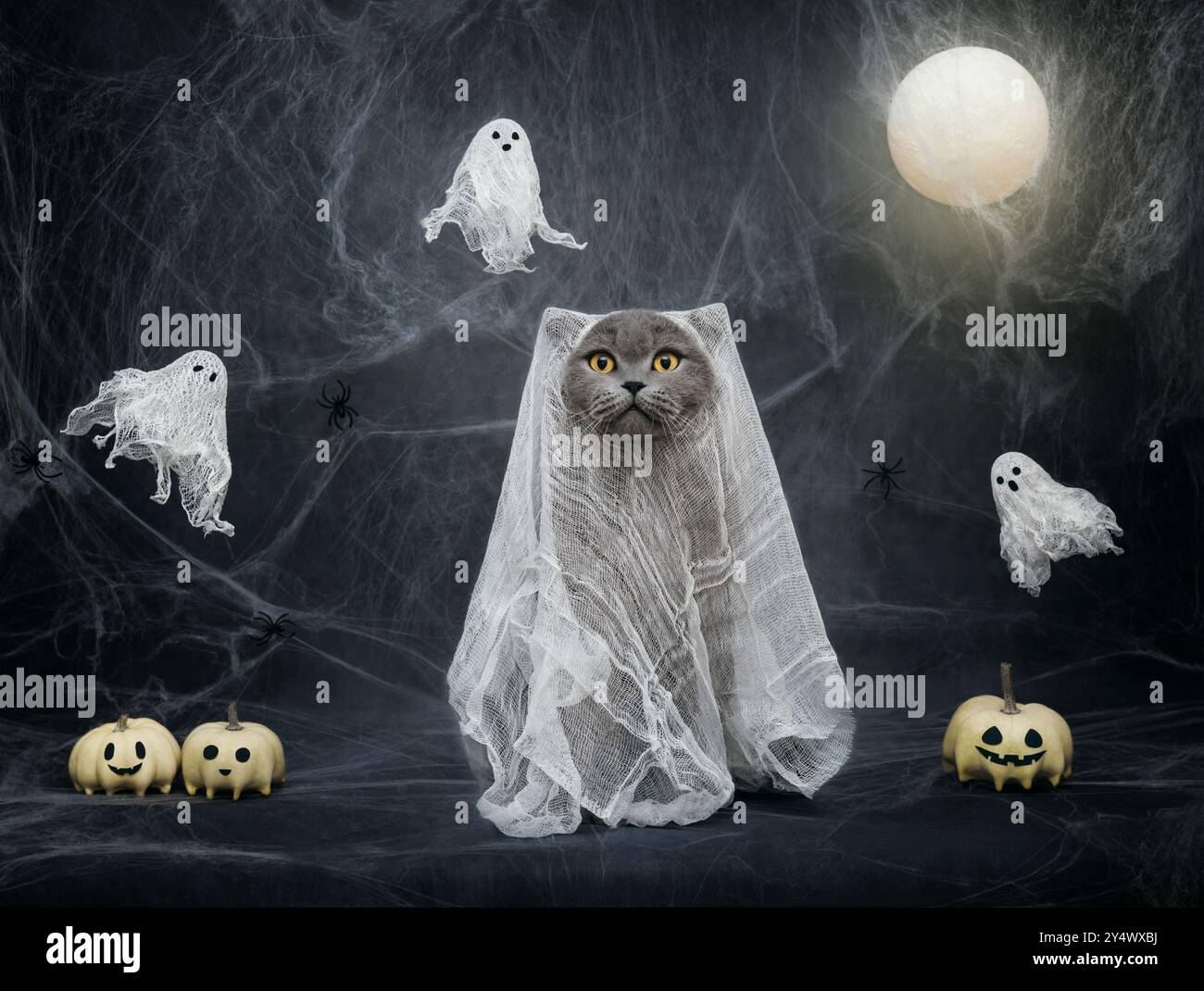 Halloween-Katze in einem Geisterkostüm auf einem nächtlichen blauen Hintergrund mit Spinnweben, Kürbis-Jack und einem glühenden Mond. Lustige Katze in einem Halloween-Kostüm. Stockfoto