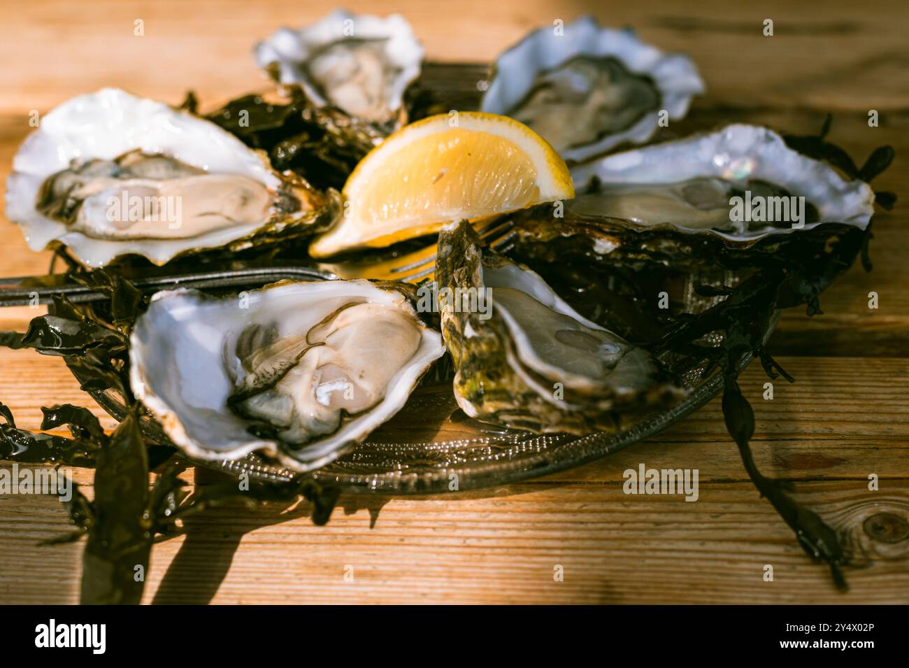 Platte mit frischen Austern in Yerseke, Zeeland, Niederlande Stockfoto