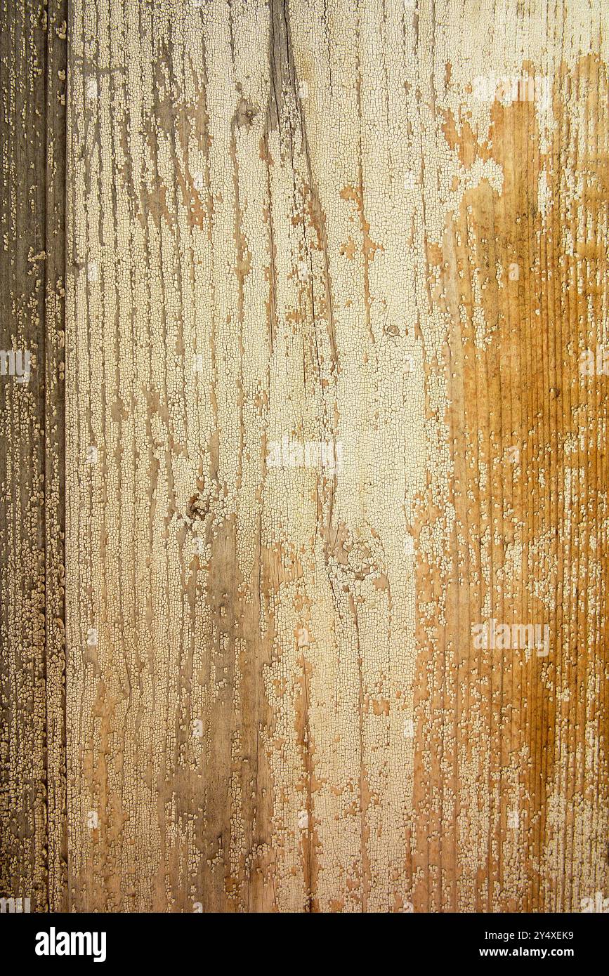 Hölzerner Hintergrund, hölzerner weiß-beige lackierter Hintergrund, gerissener weiß-beiger Lack, Hintergrundmuster Stockfoto