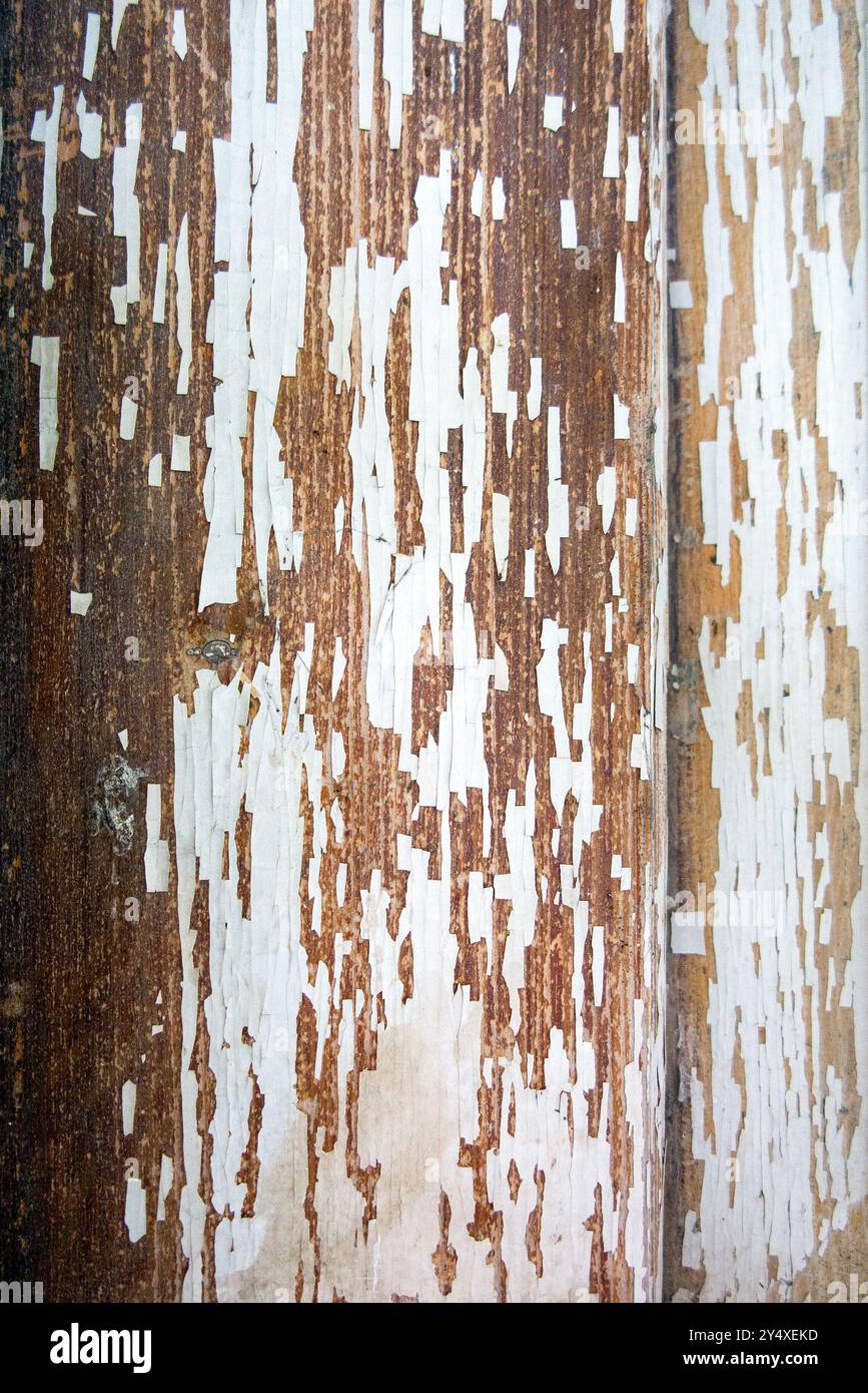 Hölzerner Hintergrund, hölzerner weiß lackierter Hintergrund, gerissener weißer Lack, Hintergrundmuster Stockfoto