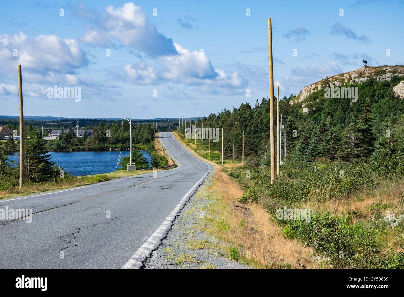 NL 70 von Cupids Long Pond in Roaches Line, Neufundland & Labrador, Kanada Stockfoto