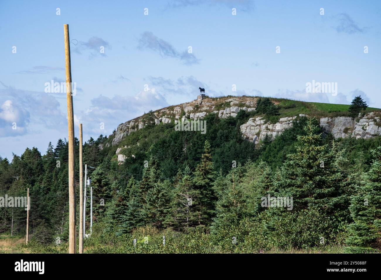 Russwood Claredale betreibt eine berühmte Pferdestatue, die auf einer Klippe an der NL 70 in Roaches Line, Neufundland & Labrador, Kanada, thront Stockfoto