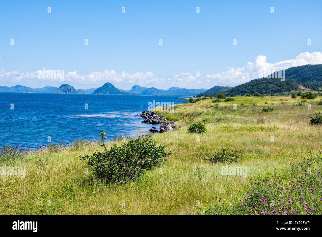 Blick auf die Bucht von der Backland Road gegenüber vom Argentia Fährhafen in Placentia, Neufundland und Labrador, Kanada Stockfoto