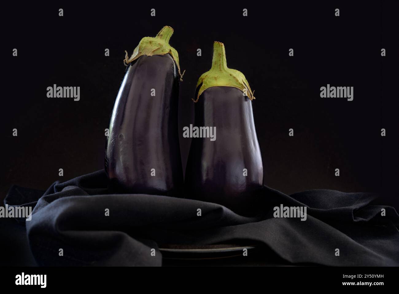 Zwei Auberginen (Solanum melongena) stehen auf einer dunklen Serviette vor fast schwarzem Hintergrund, pflanzliche Zutat für gesunde Rezepte, Kopierraum, Stockfoto