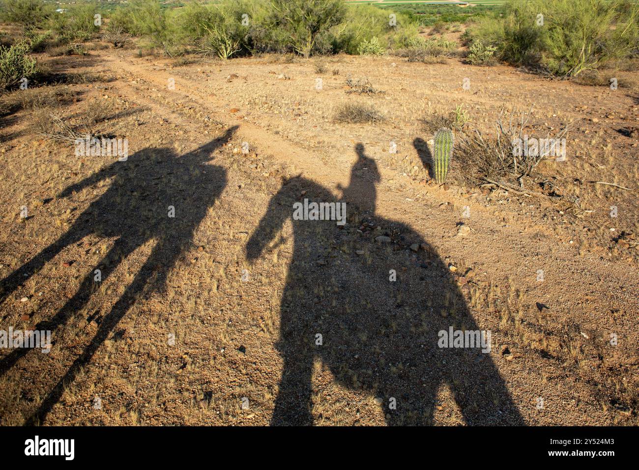 Schatten von Pferdereitern auf dem Wüstenboden Stockfoto