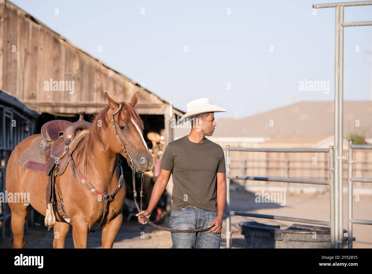 Mann und Pferd gehen zusammen Stockfoto