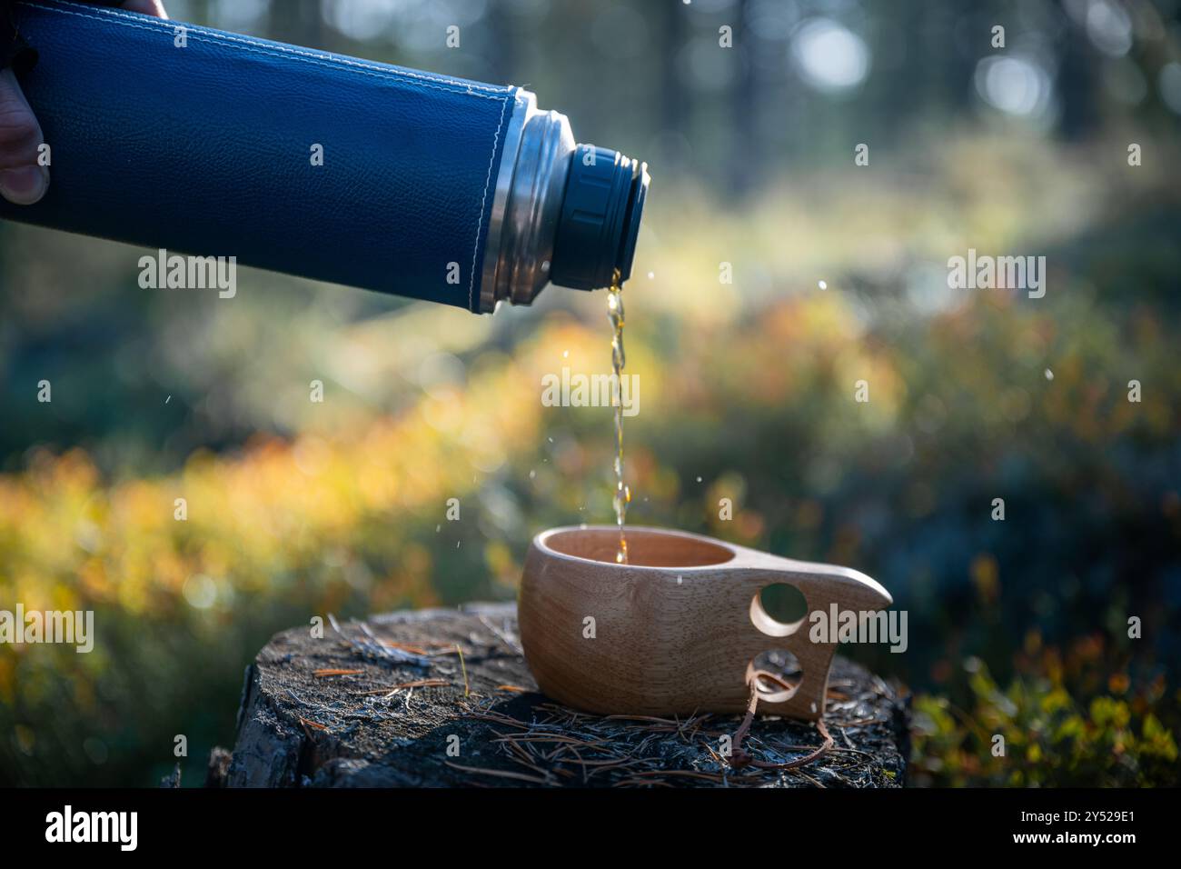 Menschliche Hand gießt Tee aus einer Thermoskanne in einen Holzbecher im Wald Stockfoto