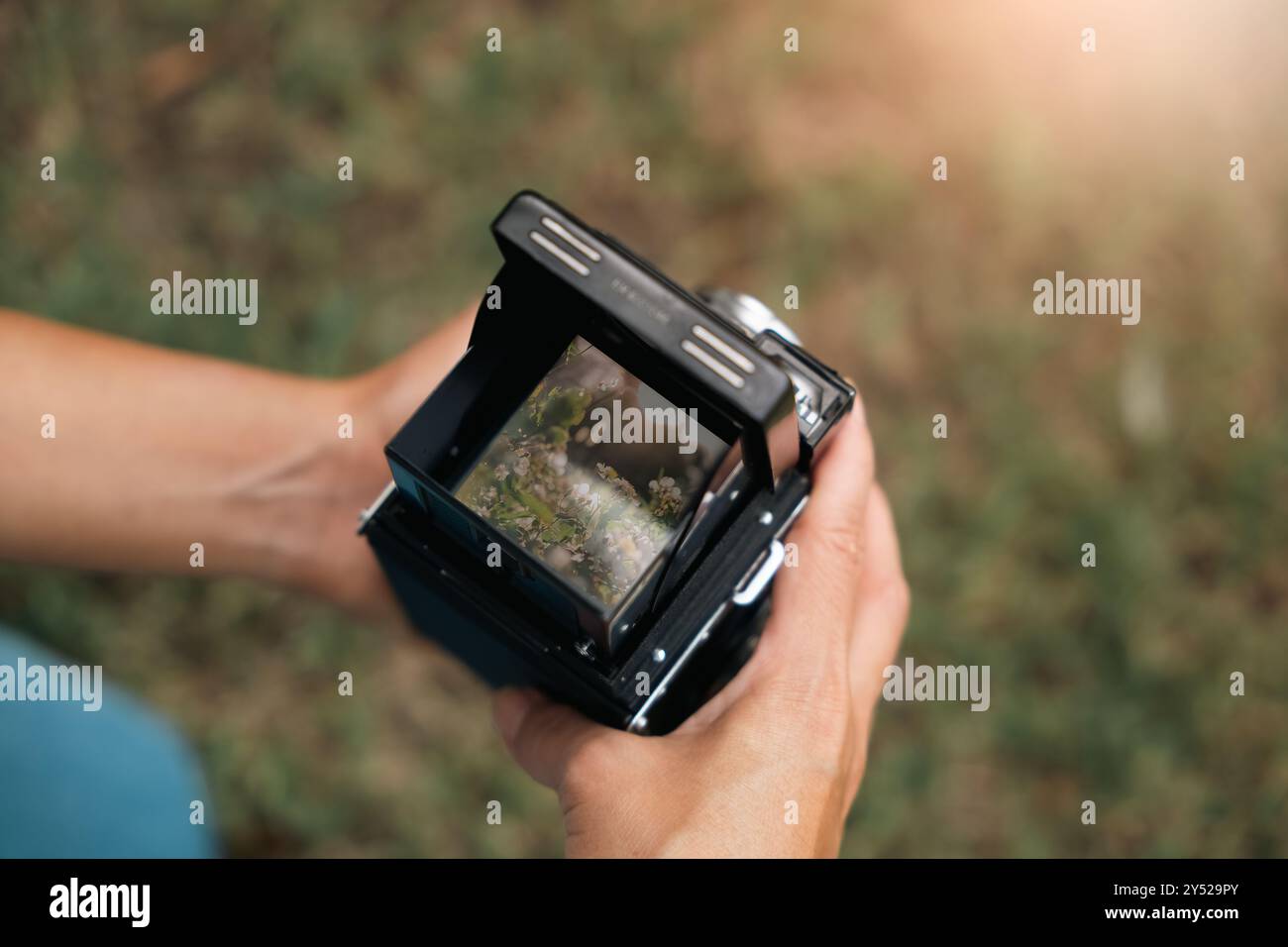 Sucher einer analogen Kamera, die wunderschöne Blumen fokussiert. Stockfoto