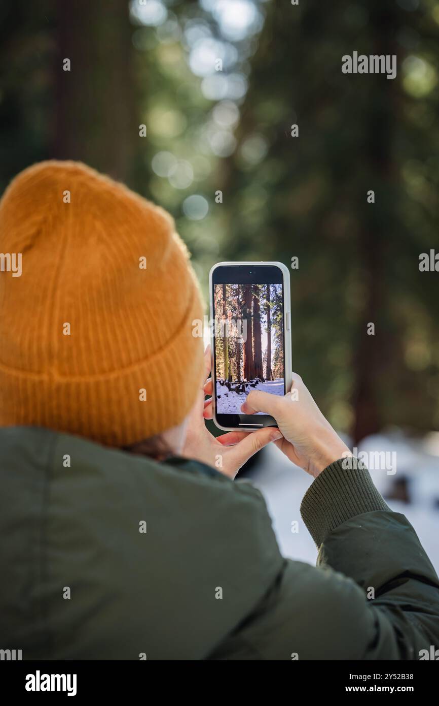 Eine Person macht ein Foto von hohen Bäumen in einem verschneiten Wald Stockfoto