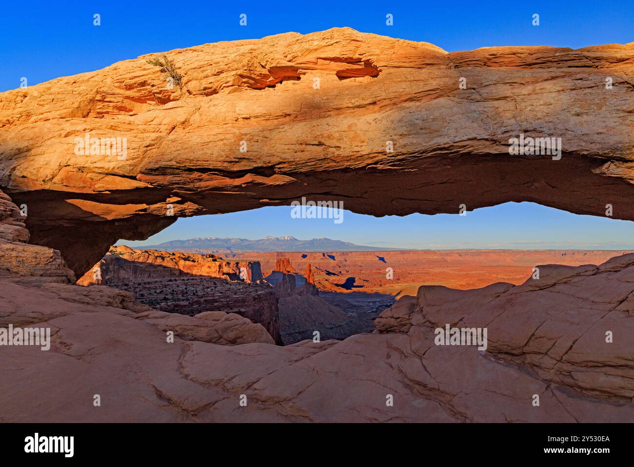 Dies ist ein Blick am späten Nachmittag auf Mesa Arch, eine der beliebtesten Attraktionen im Canyonlands National Park, Moab, Utah, USA. Stockfoto