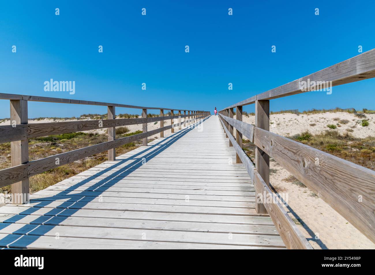 Ein langer Holzsteg mit blauem Himmel darüber, ein Quersteg zum Strand an der Costa Nova in der Nähe von Aveiro, Portugal Stockfoto