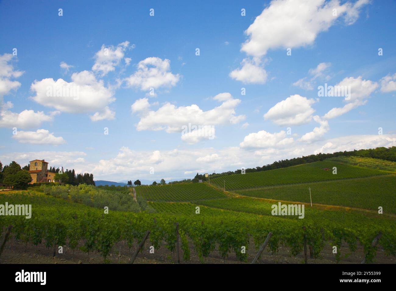 Landschaft der Chianti-Region, die während des Sonnenaufgangs in Wolken gehüllt ist Stockfoto