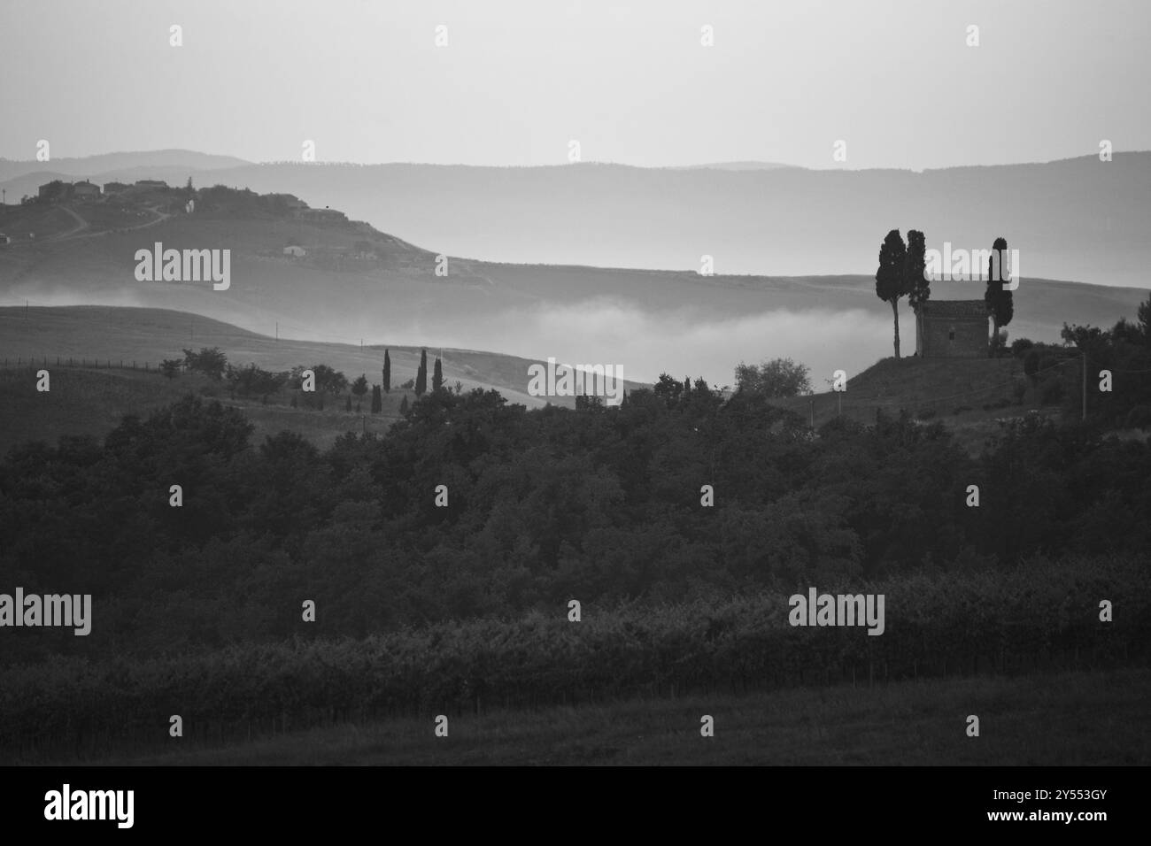 Landschaft der Chianti-Region, die während des Sonnenaufgangs in Wolken gehüllt ist Stockfoto
