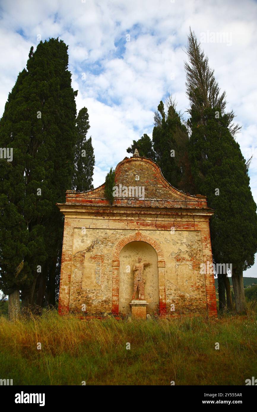 Landschaft der Chianti-Region, zwischen Florenz und Siena, berühmt für die Produktion von edlem Wein und seine sanften Hügel mit Weinstöcken Stockfoto