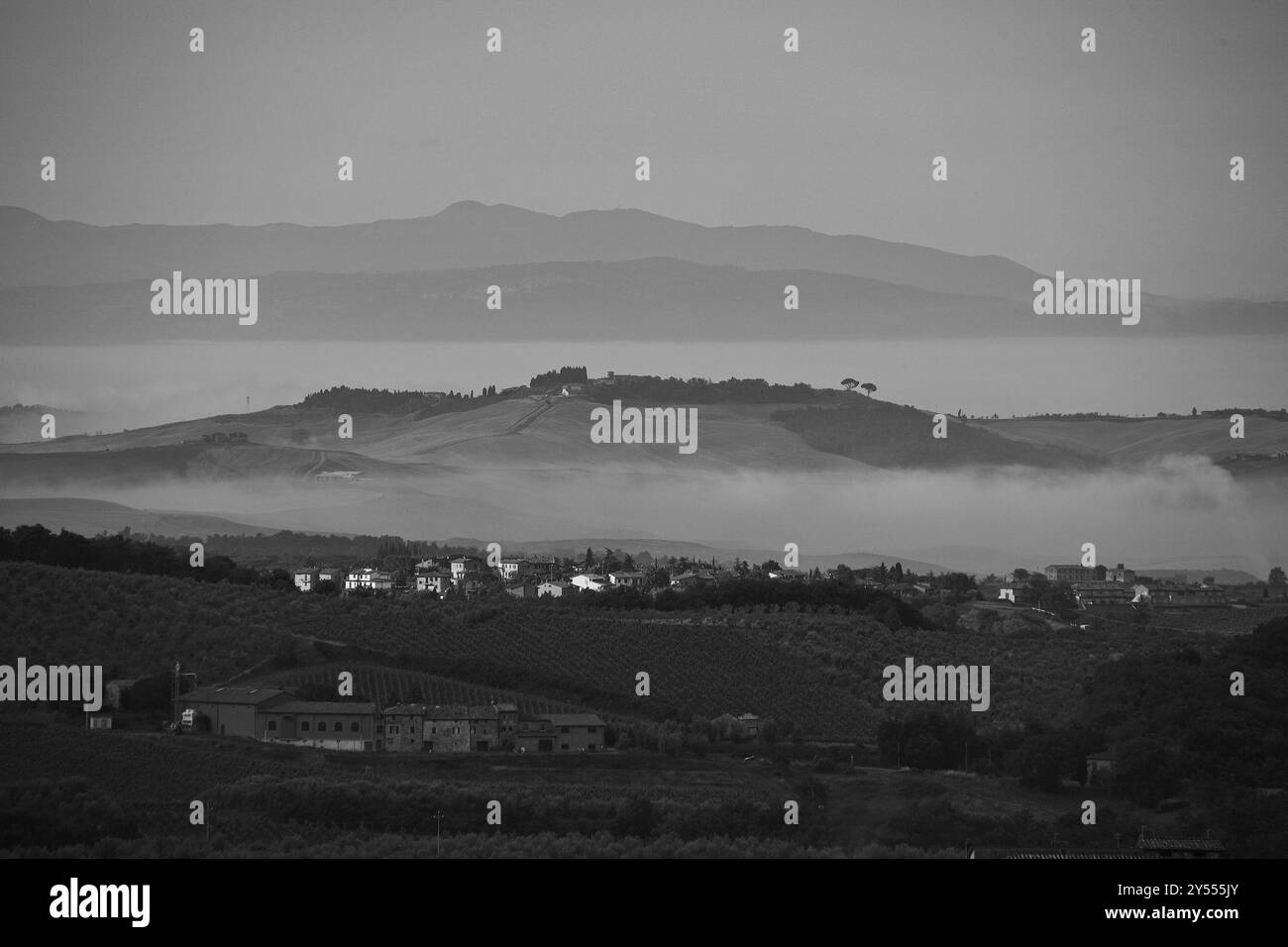 Landschaft der Chianti-Region, zwischen Florenz und Siena, berühmt für die Produktion von edlem Wein und seine sanften Hügel mit Weinstöcken Stockfoto