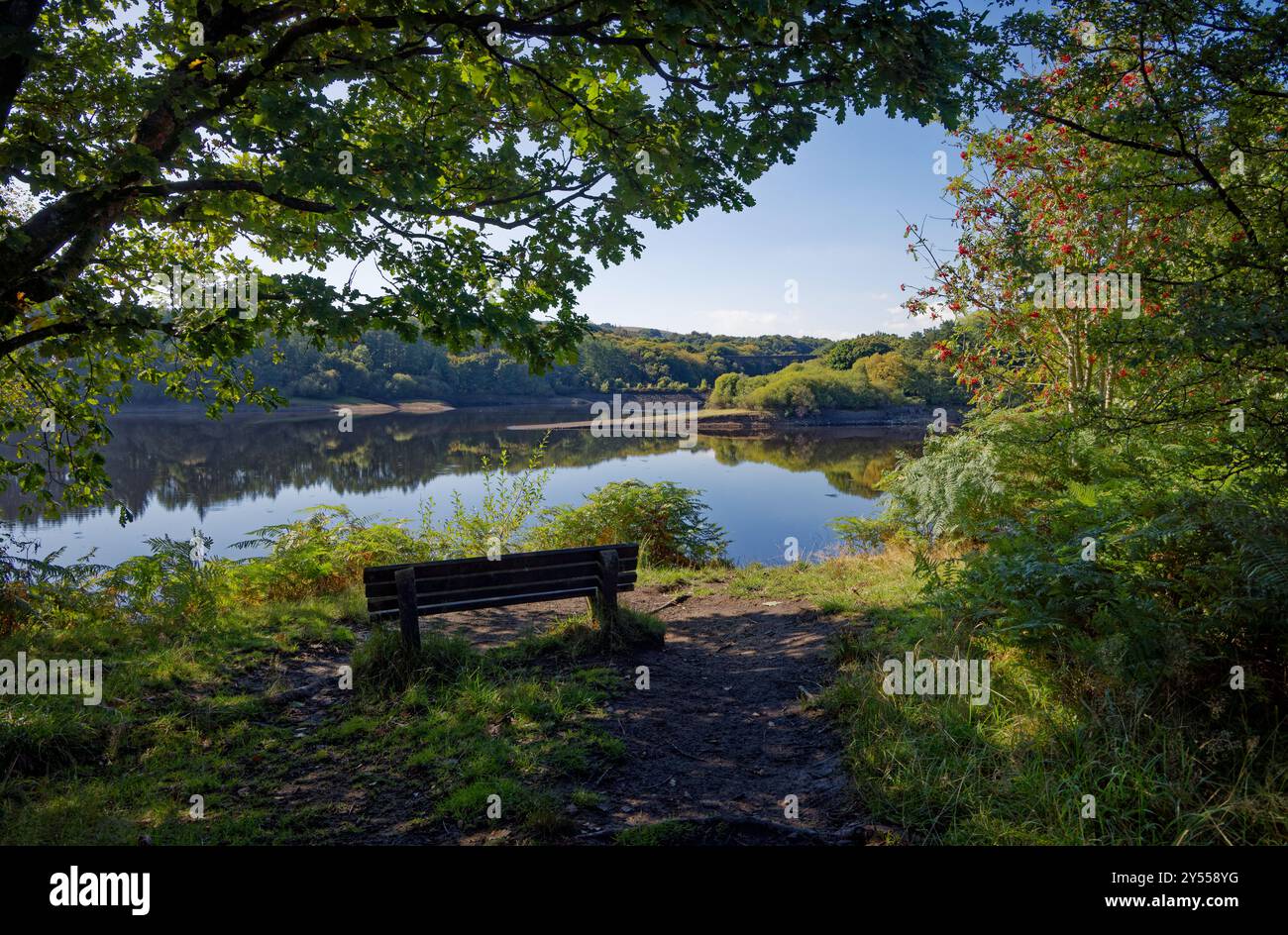 Ein Ort, um die Ruhe im Spätsommer im Wayoh Reservoir, Blackburn, Lancashire zu genießen. Stockfoto