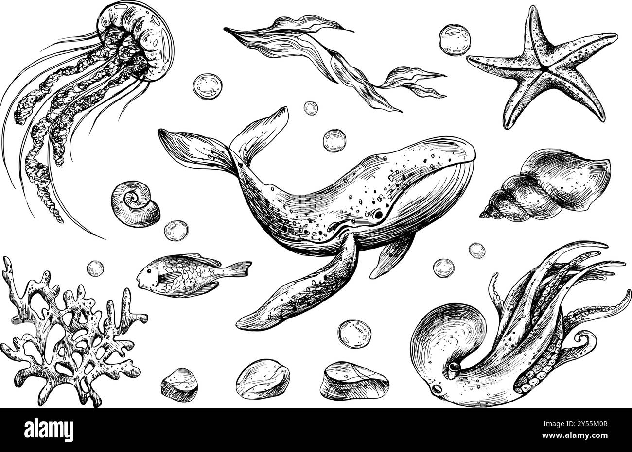 Kraken, Wale, Quallen, Schildkröten, Muscheln, Seesterne, Fische, Blasen, andere Meerestiere. Grafische Abbildung, handgezeichnet mit schwarzer Tinte. Gruppe von isolierten Stock Vektor