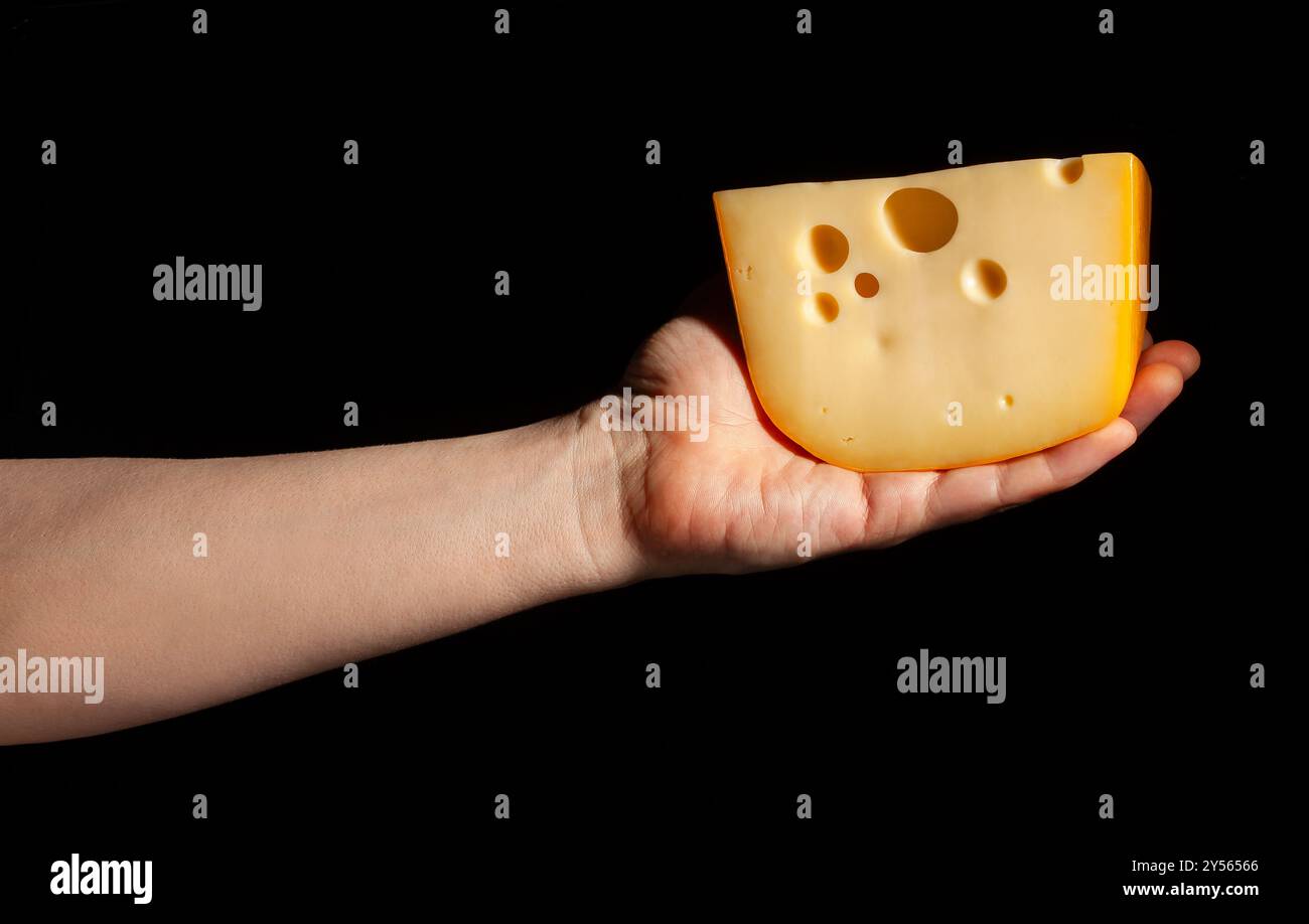 Käse in der Hand auf schwarzem Hintergrund Stockfoto