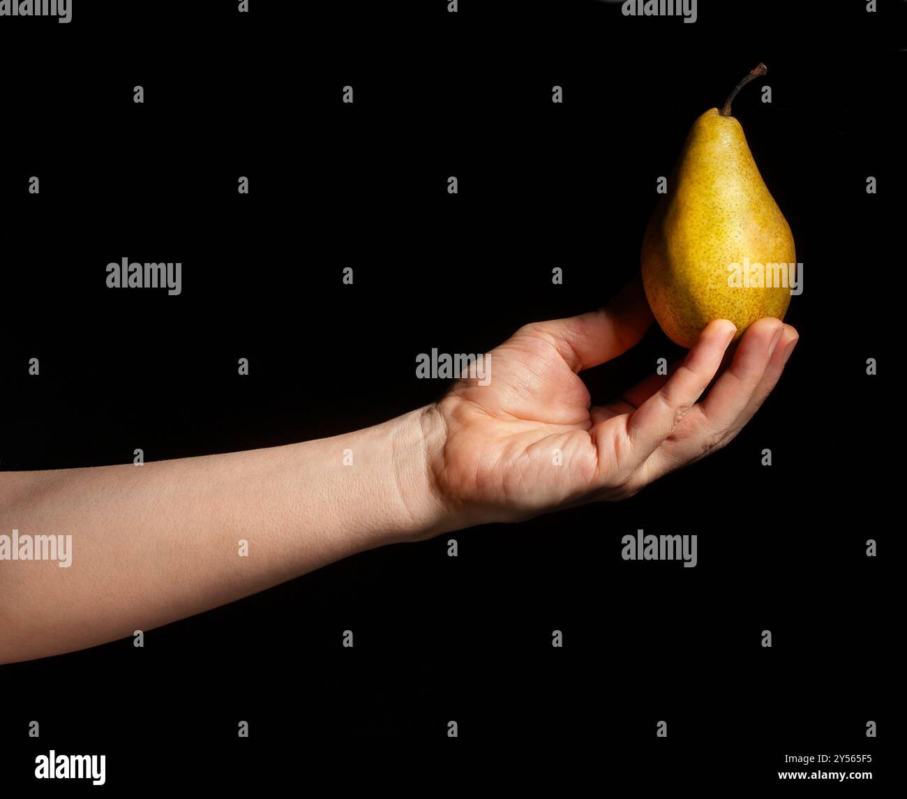 Gelbe Birne in der Hand auf schwarzem Hintergrund Stockfoto
