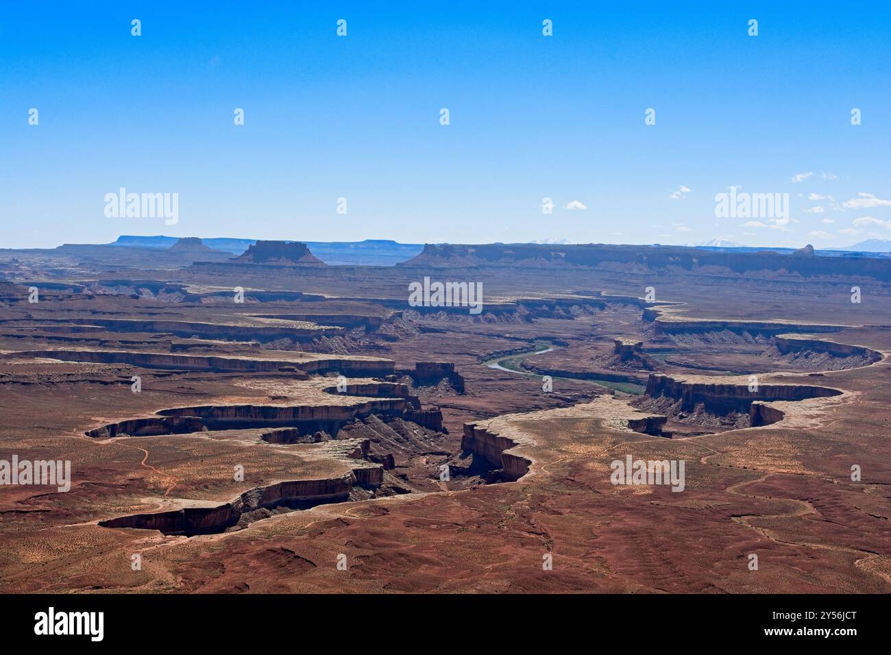 Blick auf den grünen Fluss über den verwitterten White Rim Canyon im Canyonlands National Park Stockfoto