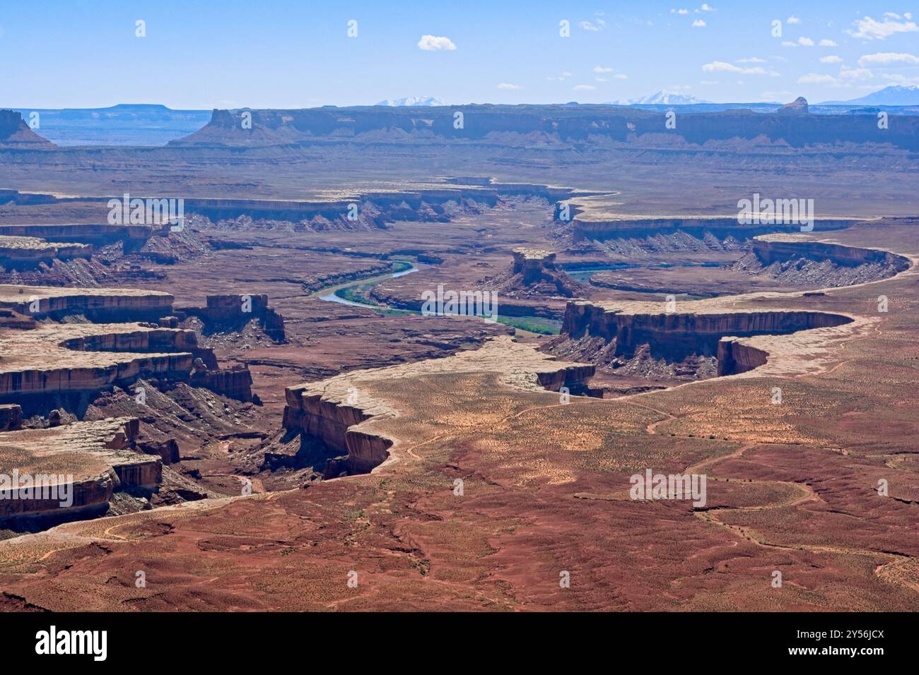 Blick auf den grünen Fluss über den verwitterten White Rim Canyon im Canyonlands National Park Stockfoto