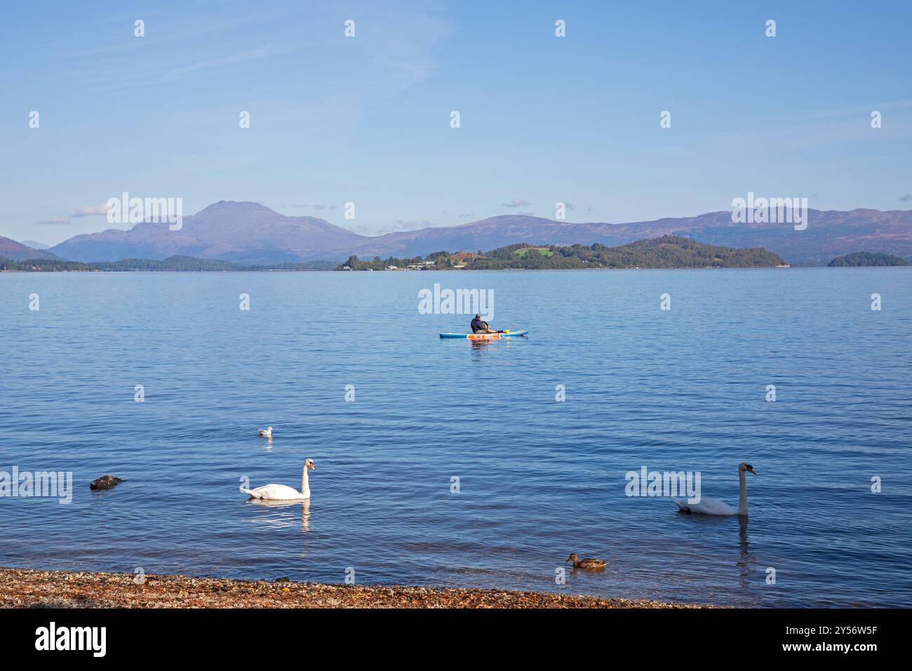 Loch Lomond, Schottland, 19.09.2024, Watersports on Loch Lomond, Trossachs National Park, Schottland, UKCredit: Arch White/Alamy Live News Stockfoto