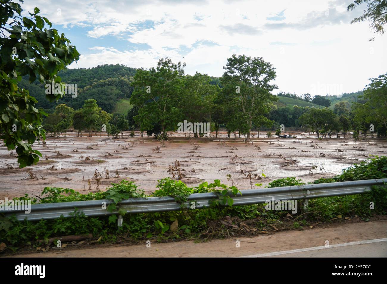 Chiang Rai, Thailand. September 2024. Ein Blick auf ein von Schlamm bedecktes Feld der Landwirtschaft, nach der Überschwemmung in Chiang Rai City, Thailand. Nach den schlimmsten Überschwemmungen seit 80 Jahren werden in Chiang Rai Restaurierungsbemühungen unternommen, wobei die Menschen die umfassende Säuberung von dickem Schlamm und Schutt in Angriff nehmen, der das Gebiet überholt hat. Viele Bewohner wurden aufgrund strukturell unsicherer Häuser zur Evakuierung gezwungen, was eine Spur der Zerstörung durch die Überschwemmungen hinterließ. (Foto: Nathalie Jamois/SOPA Images/SIPA USA) Credit: SIPA USA/Alamy Live News Stockfoto