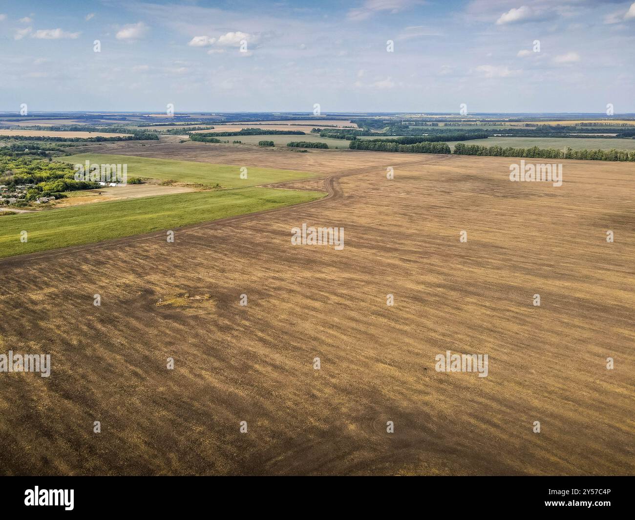 Das ausgedehnte Feld in der Oblast Kursk und Belgorod, nahe der Grenze zwischen Russland und der Ukraine, wo Kursker Gefechte während des Zweiten Weltkriegs stattfanden Stockfoto