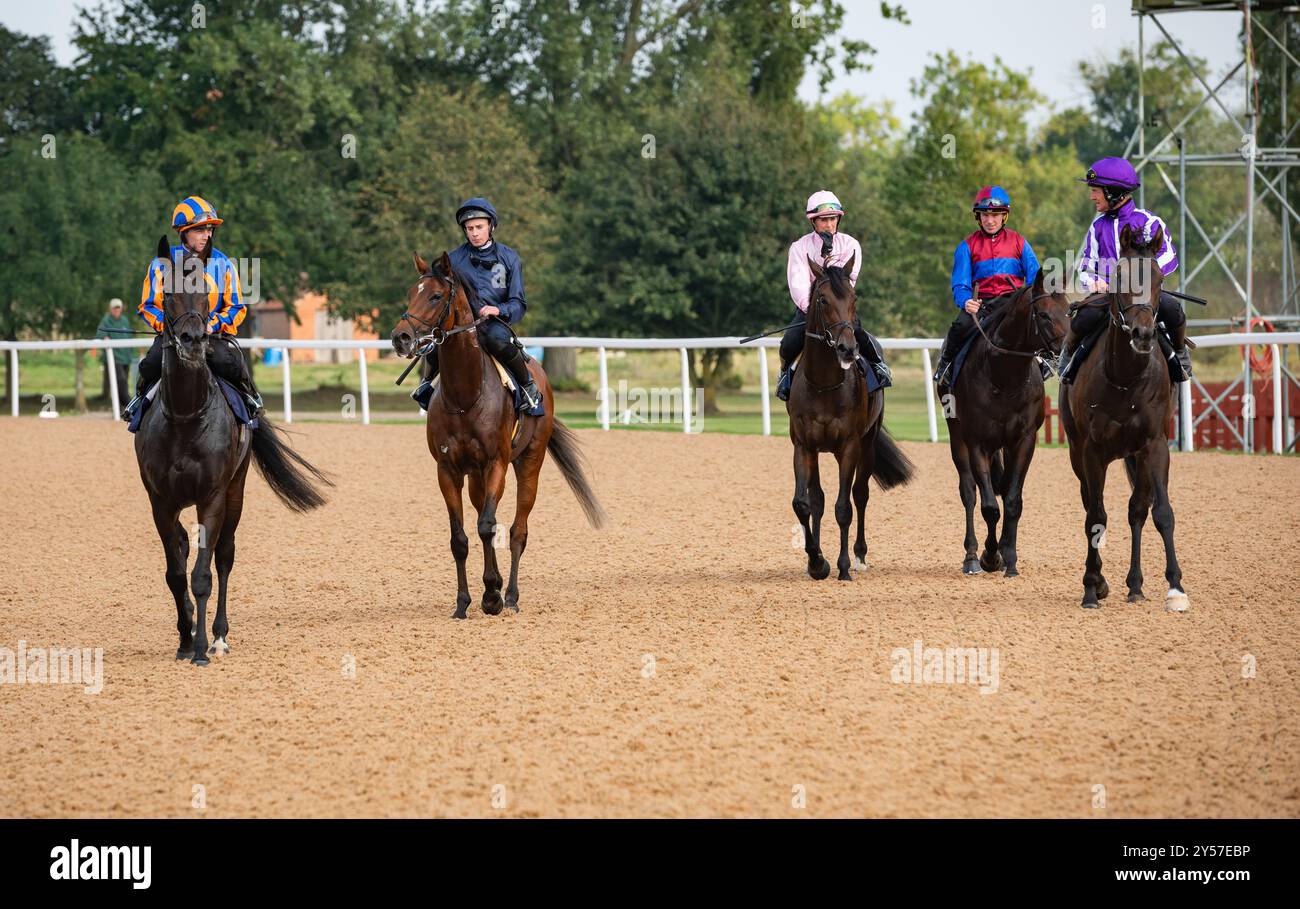 Southwell, Vereinigtes Königreich, Freitag, den 20. September 2024; der 2024er Betfred Derby in Epsom, Coral Eclipse und Juddmonte International Gewinner City of Troy macht sich nach seinem Galopp auf der Southwell Racecourse wieder mit seiner Saite auf den Breeders' Cup Classic 2024 auf den Start. Credit JTW equine Images / Alamy Stockfoto