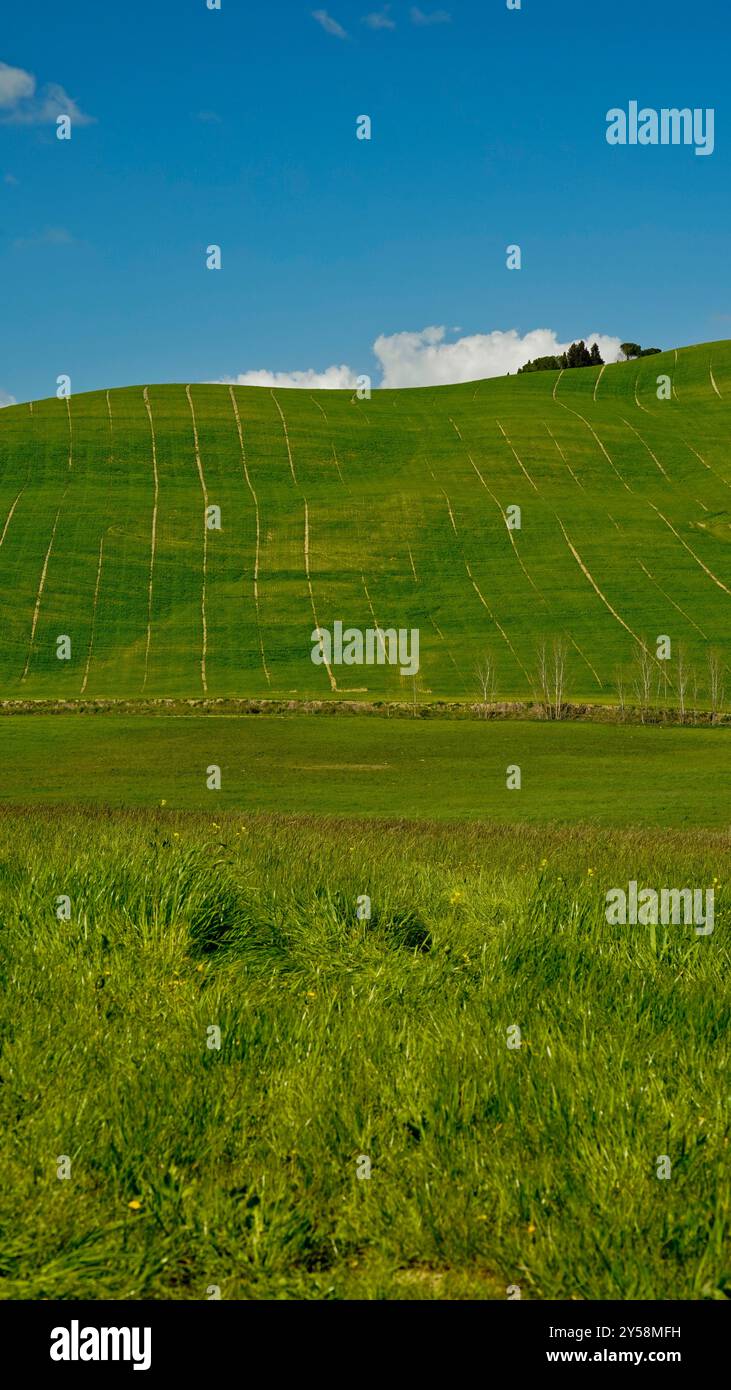 Landschaftliche Hügel und Weinberge auf der Eroica Route. Herbstlandschaft. Chianti, Toskana. Italien Stockfoto