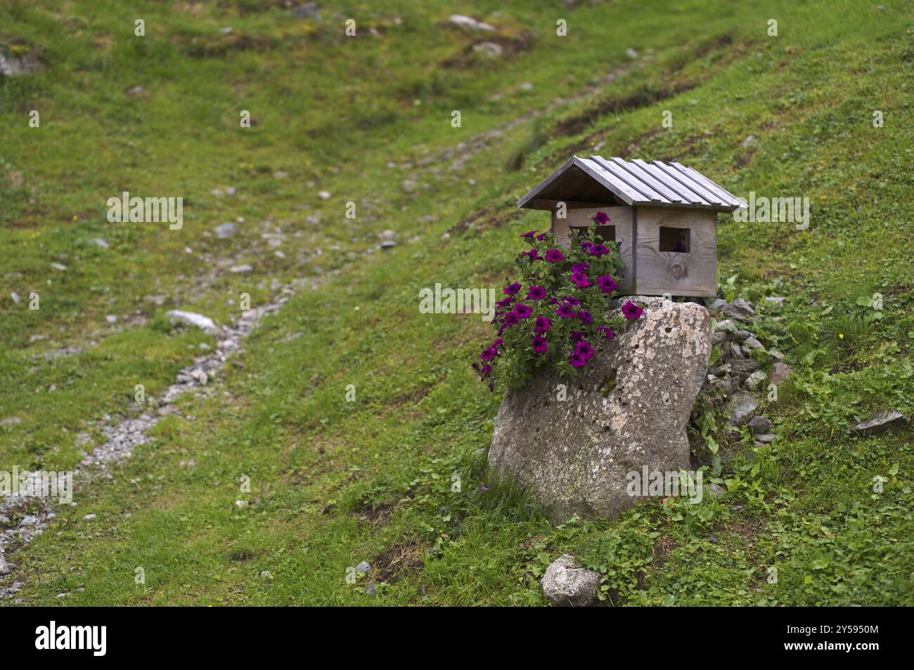 Vogelhaus, Streitweider Alm, Taser Hoehenweg, Schenna, Schenna, Schenna, Südtirol, Autonome Provinz Bozen, Italien, Europa Stockfoto