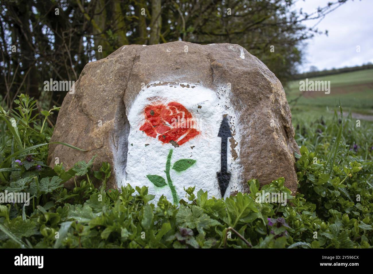 Wanderweg Wild Rose Trail rund um Sangerhausen Stockfoto