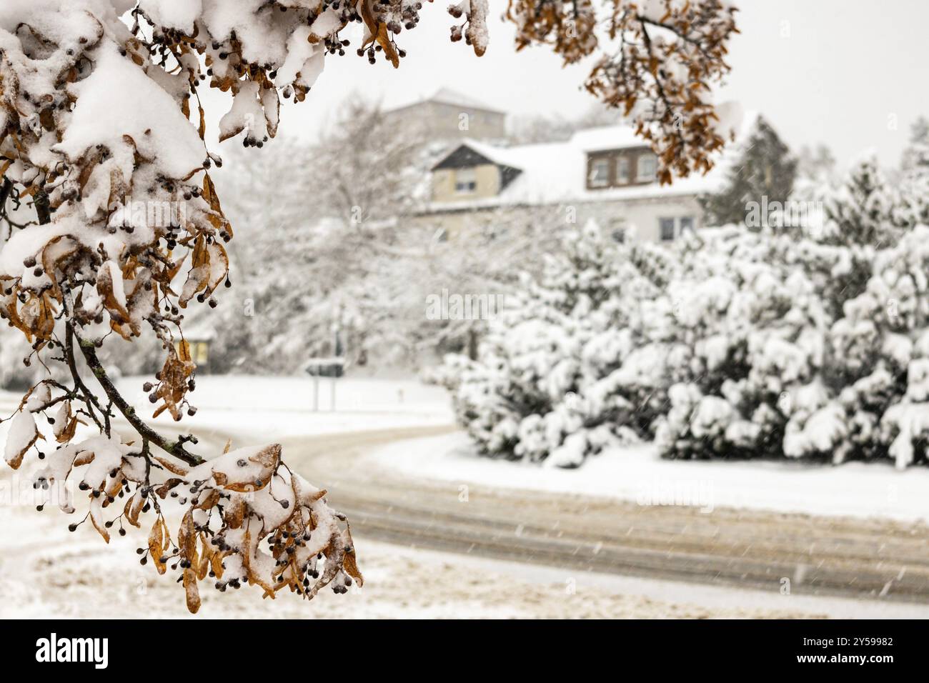 Wintereindrücke aus Harzgerode im Harz Stockfoto