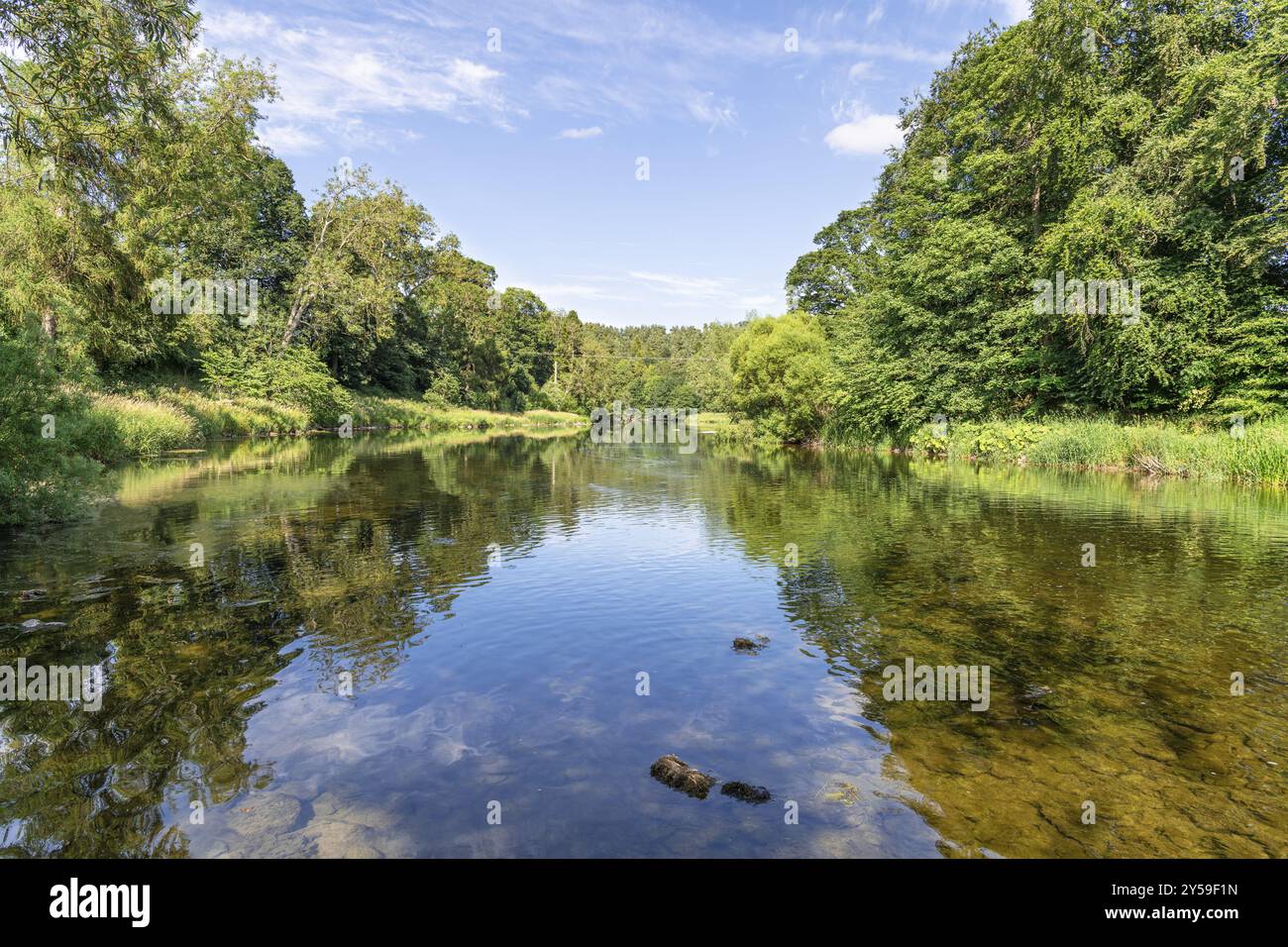 River Teviot, Scottish Borders Stockfoto