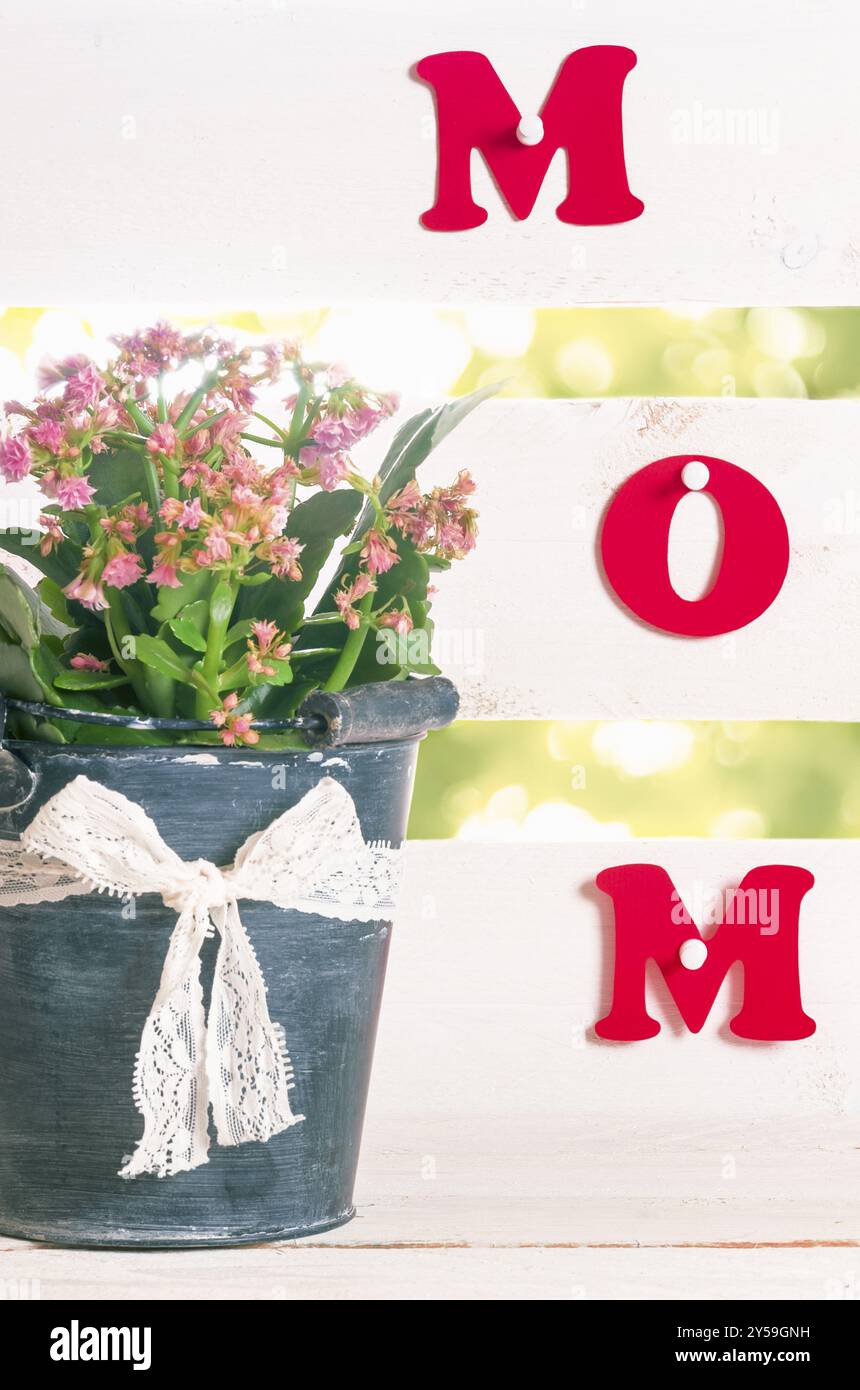 Das Wort Mom schrieb mit roten Briefen aus Papier und an einen weißen Zaun gesteckt. Blumen in einem Blumentopf in Form eines Eimers, mit Spitzenschleife und Schleife Stockfoto