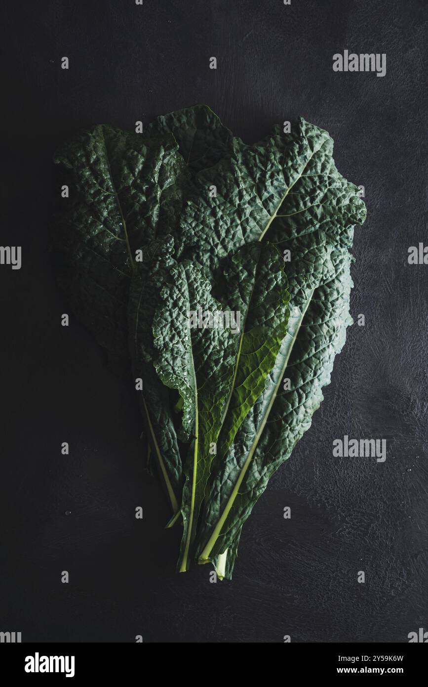 Cavolo nero Schwarzes Grünkohl-Gemüse auf Schwarz Stockfoto