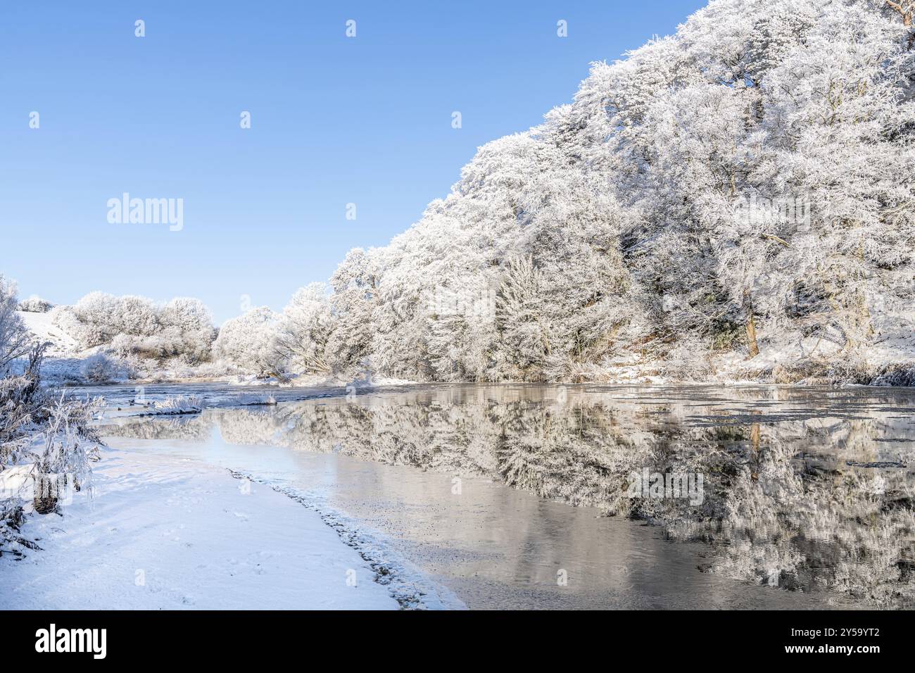 Reflexionen von schneebedeckten Bäumen im Fluss Teviot, Scottish Borders, Vereinigtes Königreich, Europa Stockfoto