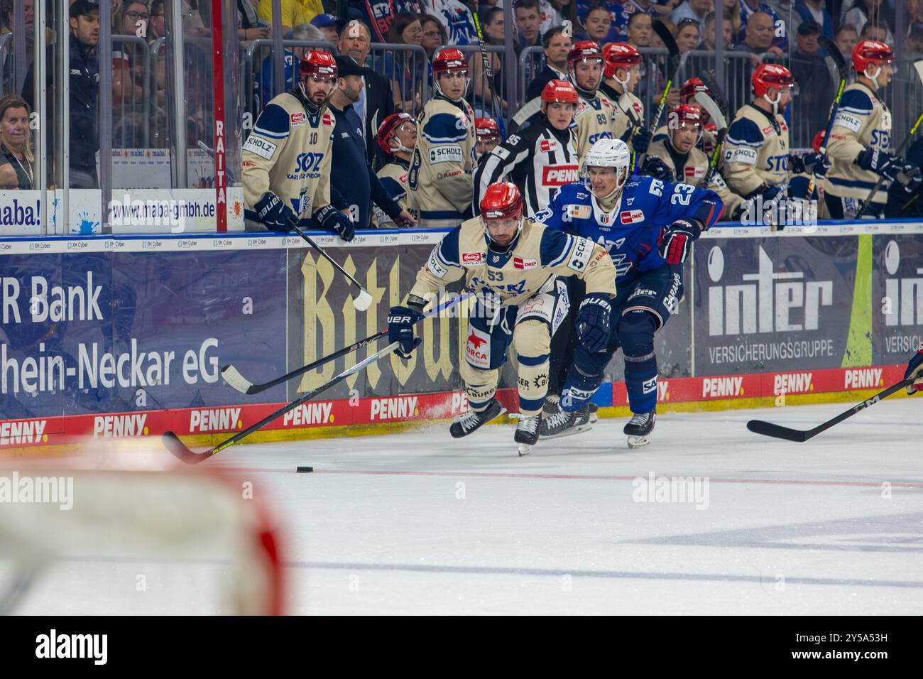 20.09.2024, DEL, Deutsche Eishockey Liga Saison 2024/25, 1. Spieltag: Adler Mannheim gegen Schwenninger Wild Wings. Bild: Alex Trivellato (53, Schwenn Stockfoto