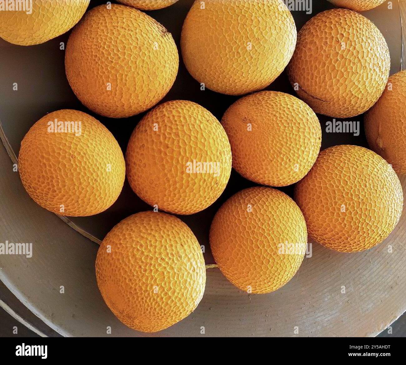 Schwarzsenfsamen. Farbige Rasterelektronenmikrographie (REM) eines Schwarzsenfsaates. Dieser Samen stammt von der Schwarzsenfpflanze (Brassica nigra) und wird in zerstoßener Form als kulinarisches Gewürz oder Öl verwendet. Vergrößerung: x60 bei Druck von 10 Zentimetern Breite. Stockfoto