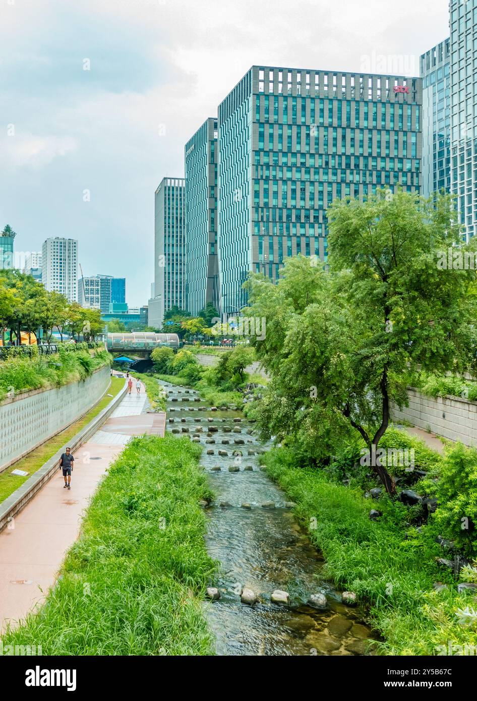 Städtisches Grün am Cheonggyecheon Canal in Seoul, Korea Stockfoto