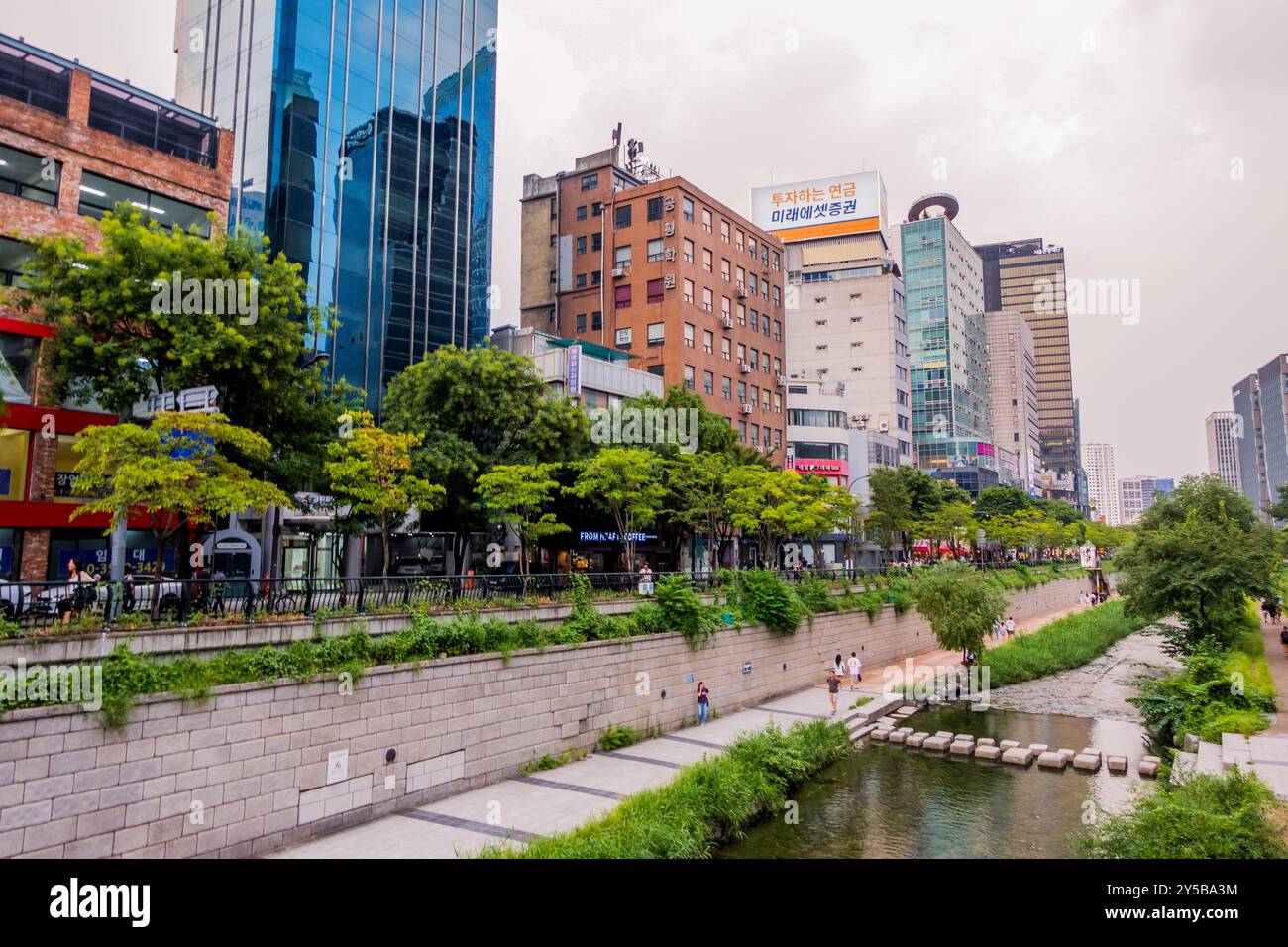 Städtisches Grün am Cheonggyecheon Canal in Seoul, Korea Stockfoto