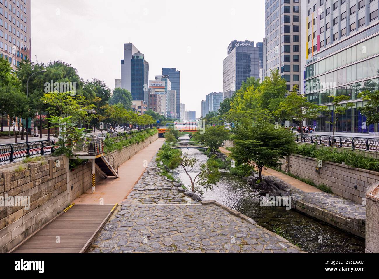 Städtisches Grün am Cheonggyecheon Canal in Seoul, Korea Stockfoto