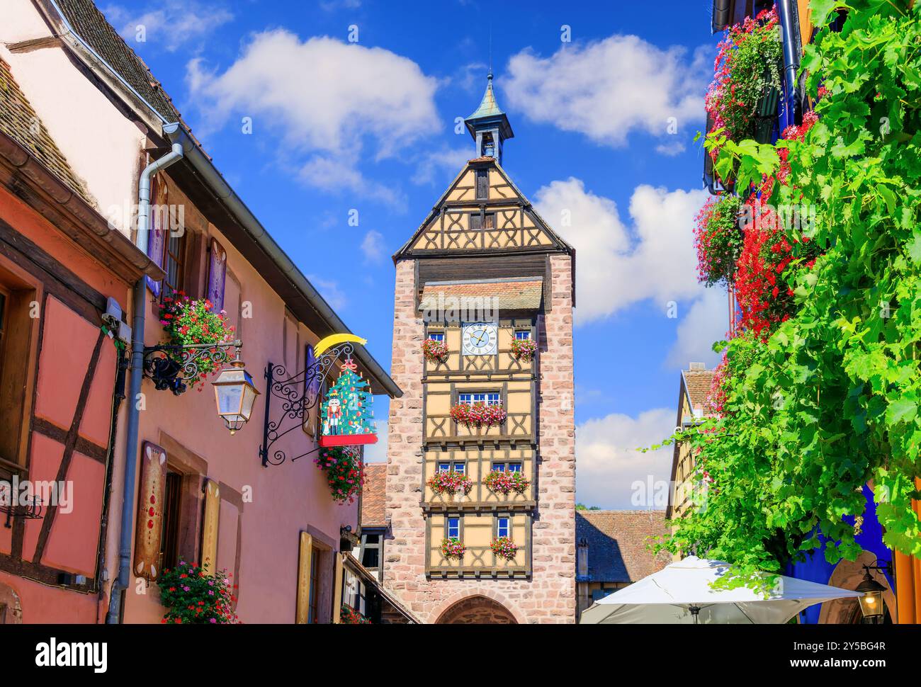 Riquewihr, Frankreich. Malerische Straße mit traditionellen Fachwerkhäusern an der elsässischen Weinstraße. Stockfoto