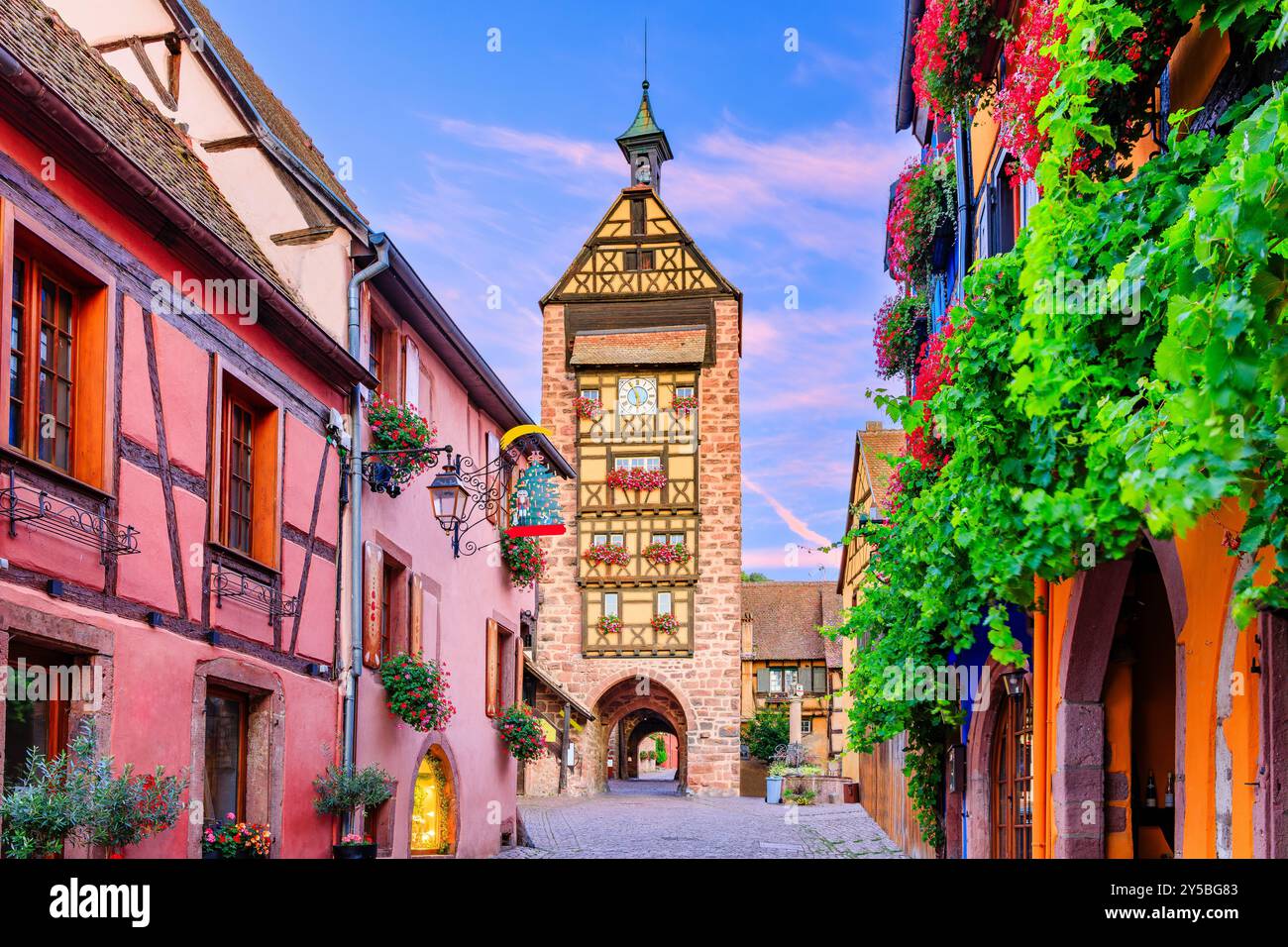 Riquewihr, Frankreich. Malerische Straße mit traditionellen Fachwerkhäusern an der elsässischen Weinstraße. Stockfoto