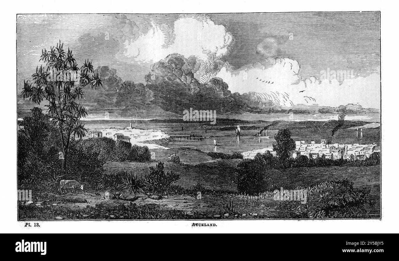 Platte 13 - Auckland - BEETONS GEOGRAPHIE-WÖRTERBUCH. A Universal Gazetteer, veröffentlicht von London Ward, Lock and Tyler 1868 Stockfoto