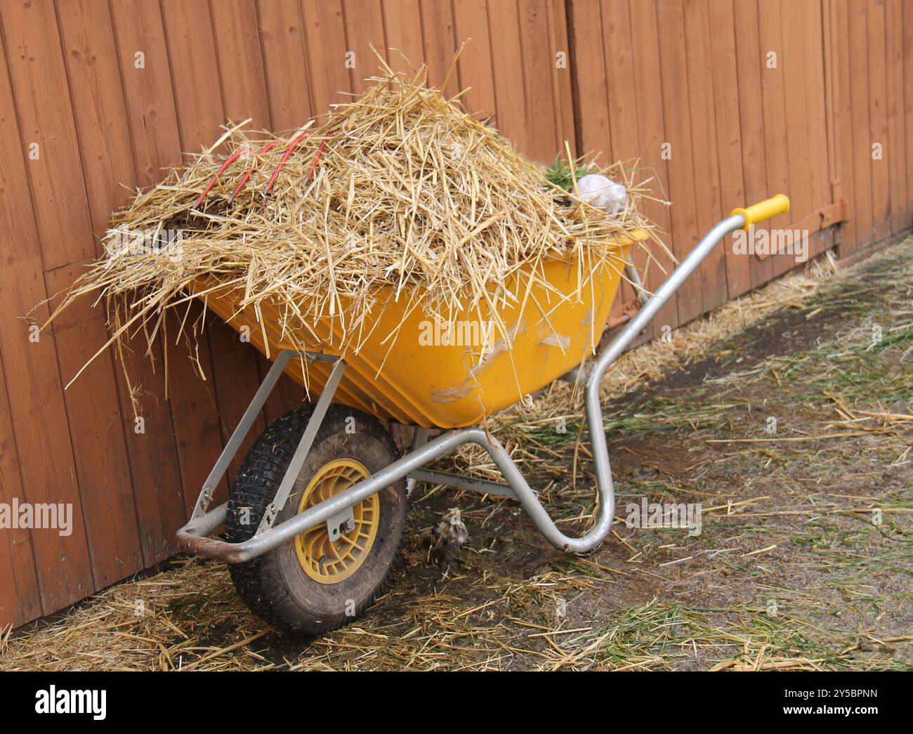 Eine Schubkarre voll vom Ausmusten eines Pferdestalls. Stockfoto