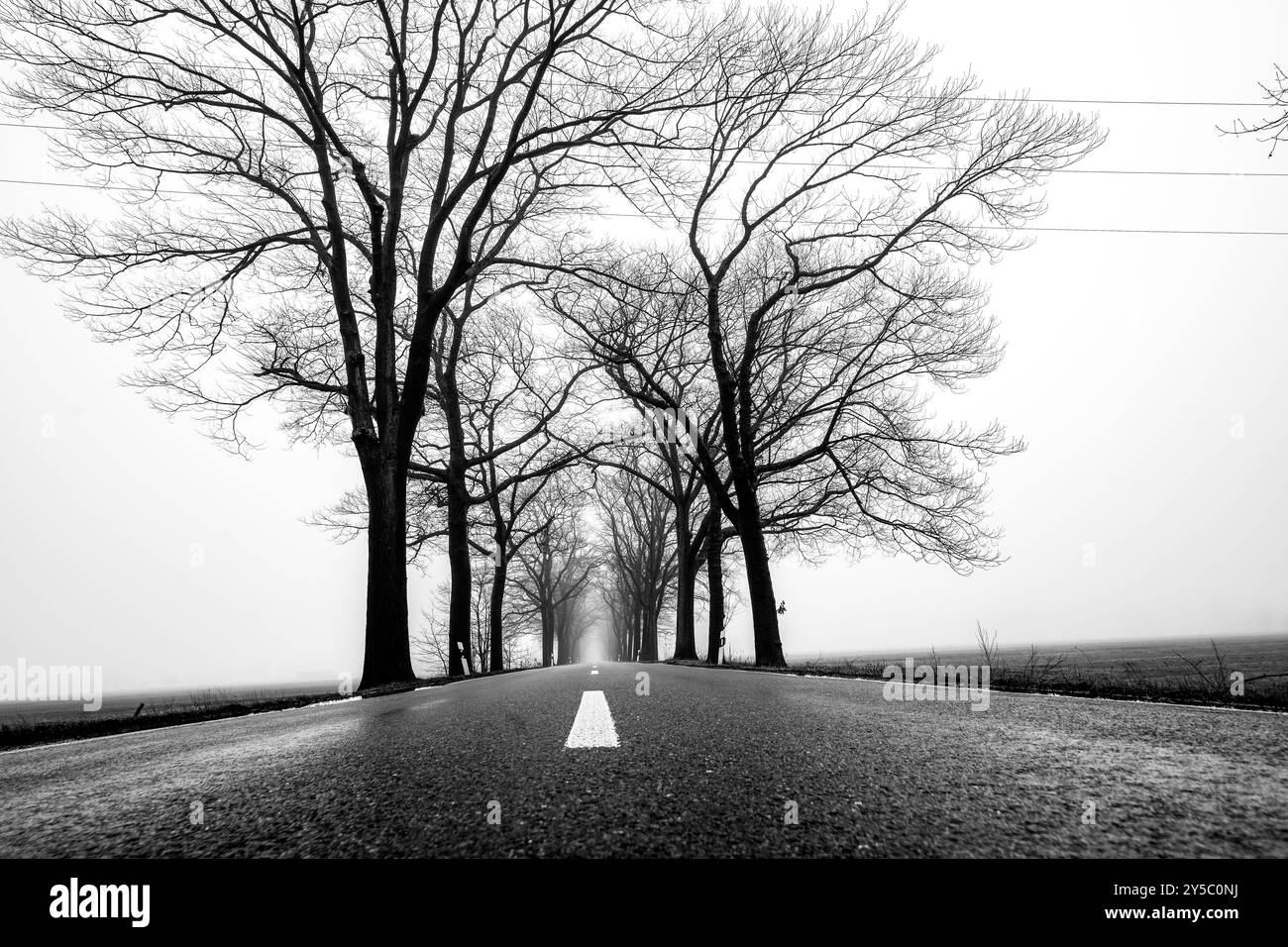 Mitten auf der Straße im Winter. Pfad durch eine Straße. Stockfoto